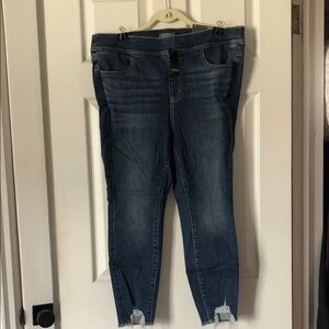 Torrid Distressed Blue Ankle Jeans